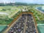 Projects01